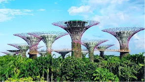 Gardens by the Bay